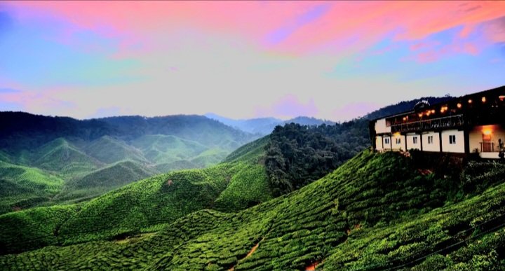 Cameroon Highland | Places to Visit | best picks
