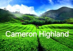 Cameroon Highland | Places to Visit | best picks