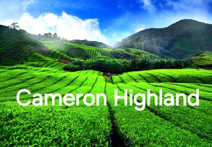 Cameroon Highland | Places to Visit | best picks